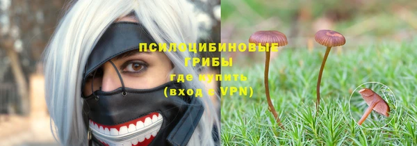 бошки Инта