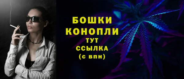 бошки Инта