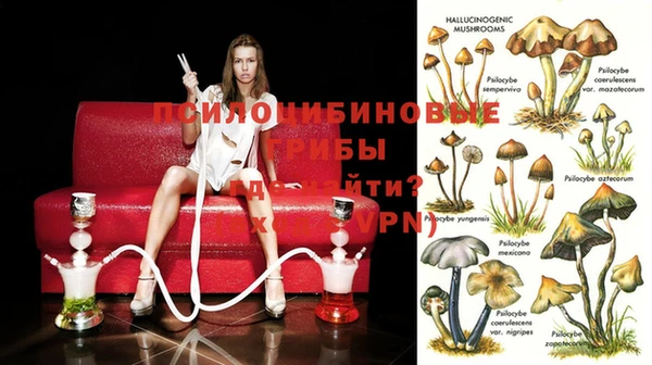 кокаин колумбия Инсар