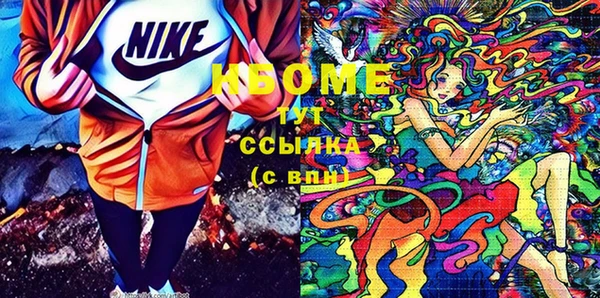 бошки Инта