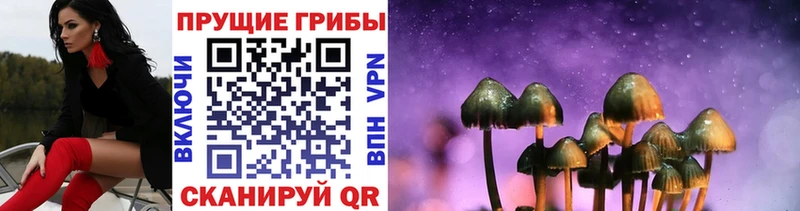 KRAKEN рабочий сайт Прокопьевск Галлюциногенные грибы ЛСД