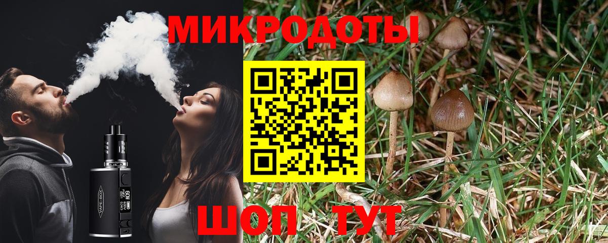 Псилоцибиновые грибы ЛСД  Псилоцибиновые грибы прущие грибы  Вход с VPN  Прокопьевск 